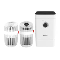 Boneco Air Purifier