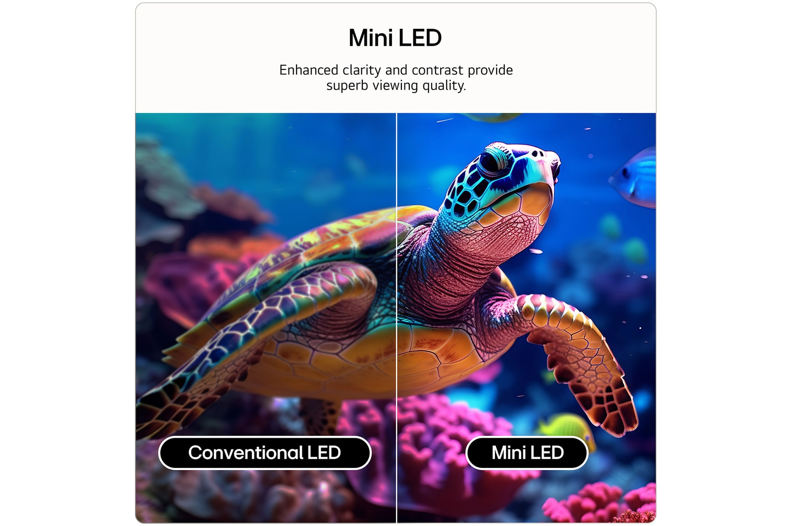 LG 43QNED87B6A 43 Inch QNED evo Mini LED AI QNED87 4K Ultra HD HDR Smart TV 2026