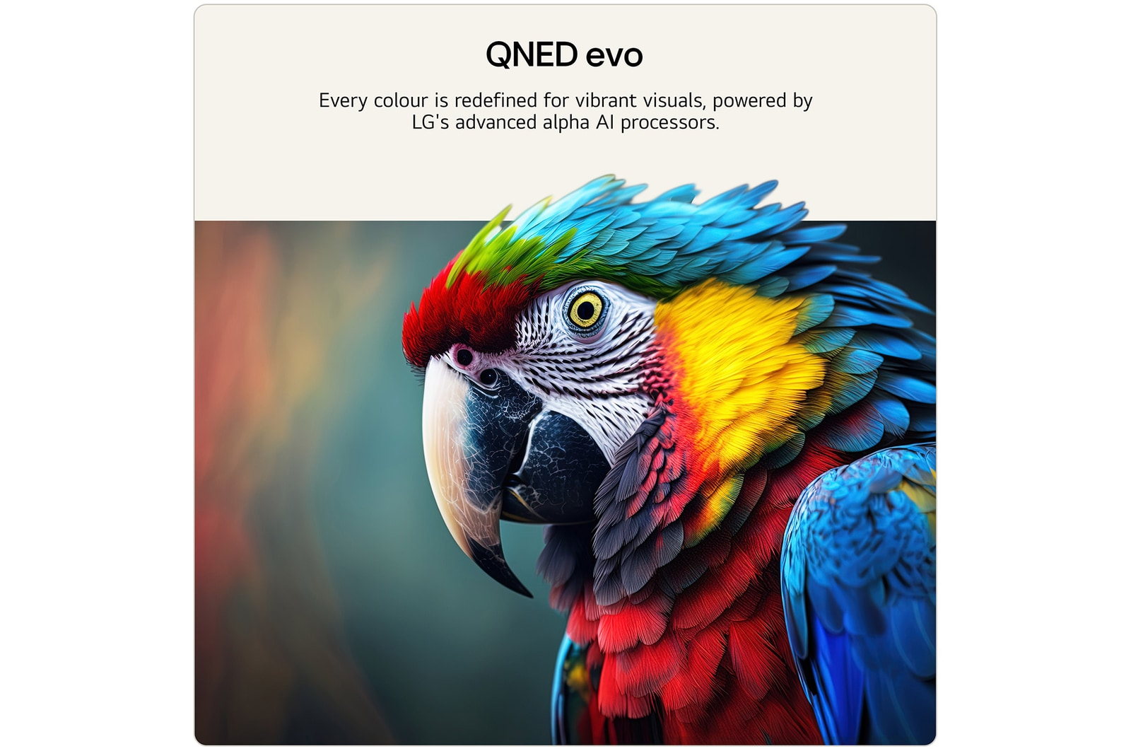 LG 50QNED87B6A 50 Inch 4K QNED evo AI QNED87 Mini LED 4K Ultra HD HDR Smart TV 2026