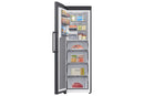 Samsung RZ70H32HEFEU SpaceMax 323L Freestanding Total No Frost Tall Freezer Black