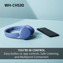 Sony WH-CH530 Wireless On-Ear Bluetooth Headphones Mint Green