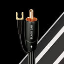 AudioQuest Black Lab 2M Subwoofer Cable with chassis ground connector 2 Metre