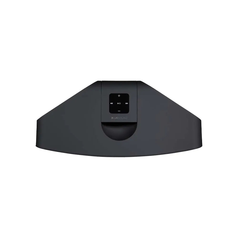 Bluesound PULSE 2i Premium Wireless Multi-Room Music Streaming Speaker - Black Black