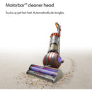 Dyson Ball Animal Multi-floor 2 Corded Upright Bagless Vacuum Cleaner BALLANIMALMF2 - Copper & Silver
