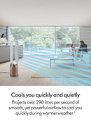 Dyson Purifier Cool PC2 De-NOx Purifying Fan (TP12) - White/Gold