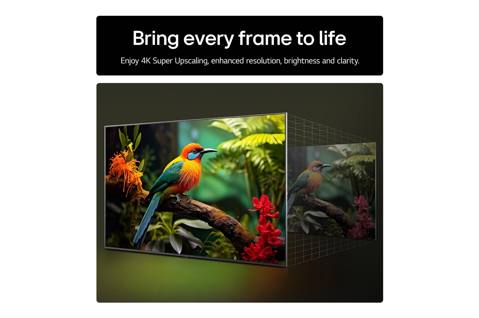 LG 75UA74006LB 75 Inch AI ThinQ UA74 4K UHD HDR Smart TV 2025 75 Inch
