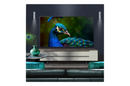 LG 75UA74006LB 75 Inch AI ThinQ UA74 4K UHD HDR Smart TV 2025 75 Inch