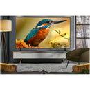 LG 86QNED85A6C 86 Inch QNED evo AI QNED85 HDR 4K Ultra HD Smart TV 2025 86 Inch