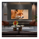 LG OLED48C56LB 48 Inch OLED evo AI C5 4K Ultra HD HDR Smart TV 2025 48 Inch