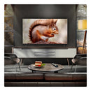 LG OLED55B56LA 55 Inch OLED AI B5 4K HDR Ultra HD Smart TV 2025 55 Inch