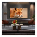 LG OLED55C56LB 55 Inch OLED evo AI C5 4K Ultra HD HDR Smart TV 2025 55 Inch