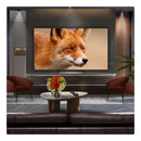 LG OLED65C56LB 65 Inch OLED evo AI C5 4K Ultra HD HDR Smart TV 2025 65 Inch