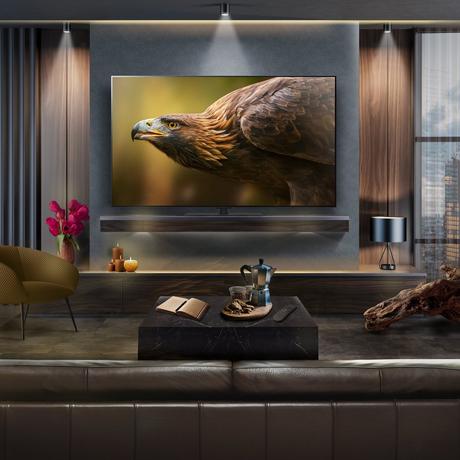 LG OLED65G46LS 65 Inch evo G4 OLED 4K UHD HDR Smart TV 2024 65 Inch