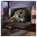 LG OLED65G54LW 65 Inch OLED evo AI G5 4K UHD HDR Smart TV with LG US90TY 5.1.3ch Soundbar Bundle