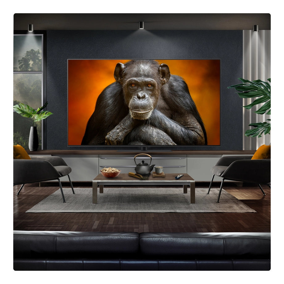 LG OLED65G56LS 65 Inch OLED Evo AI G5 4K Ultra HD HDR Smart TV 2025 65 Inch