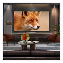 LG OLED77C56LB 77 Inch 4K OLED evo AI C5 4K Ultra HD HDR Smart TV 2025 77 Inch