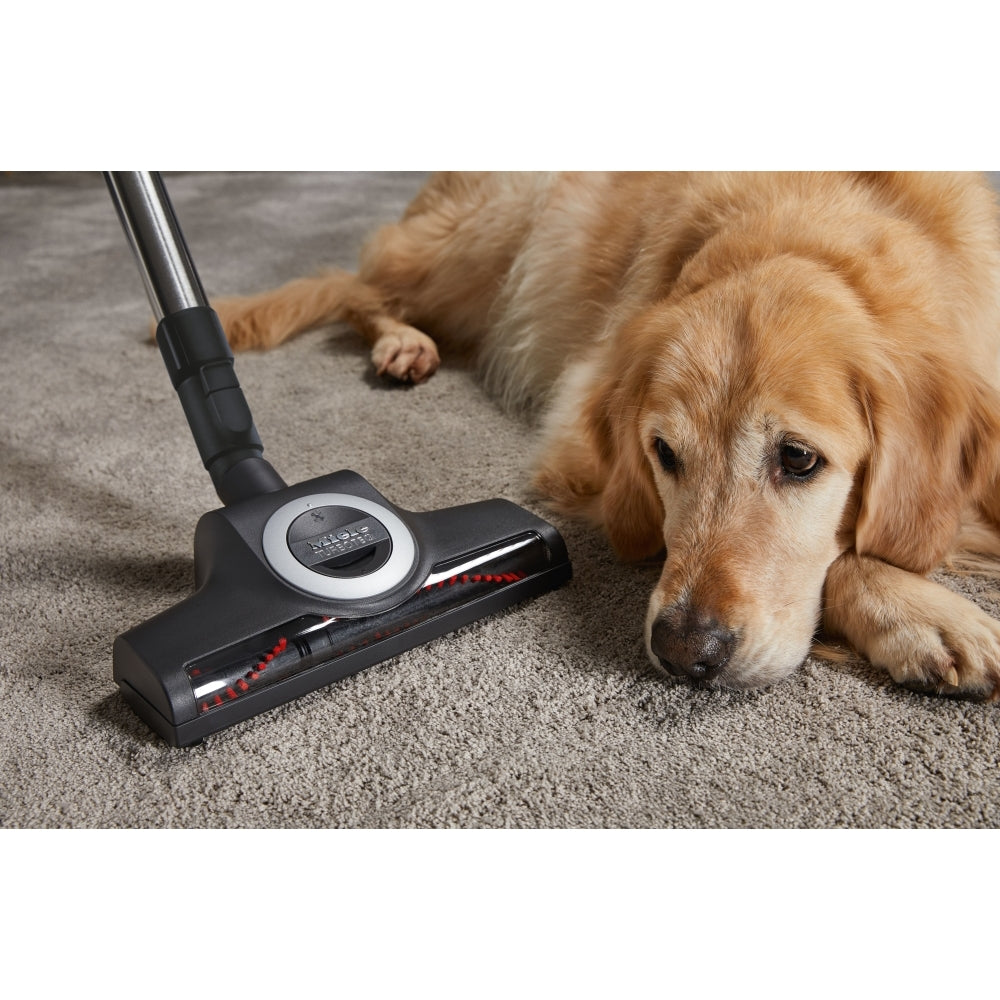 Miele Blizzard CX1 Cat & Dog Flex Cylinder Bagless Vacuum Cleaner - Grey