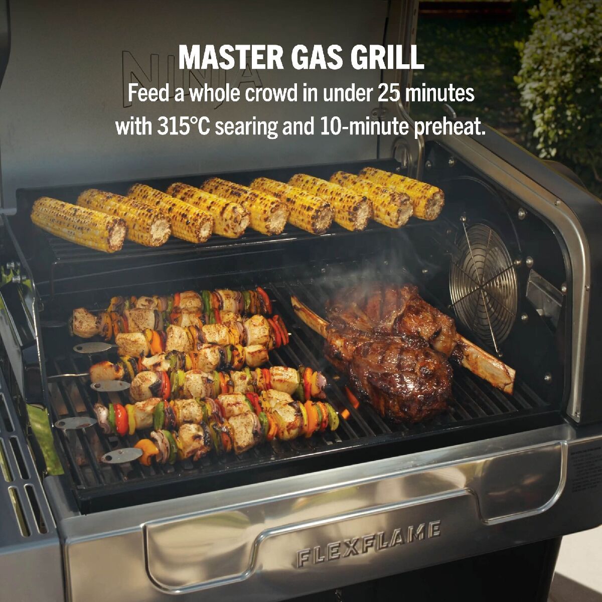 Ninja PG301UK FlexFlame Gas BBQ & Outdoor Cooking System Black Silver Black