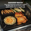 Ninja PG301UK FlexFlame Gas BBQ & Outdoor Cooking System Black Silver Black