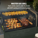 Ninja PG301UKGN FlexFlame Gas BBQ & Outdoor Cooking System Green Green