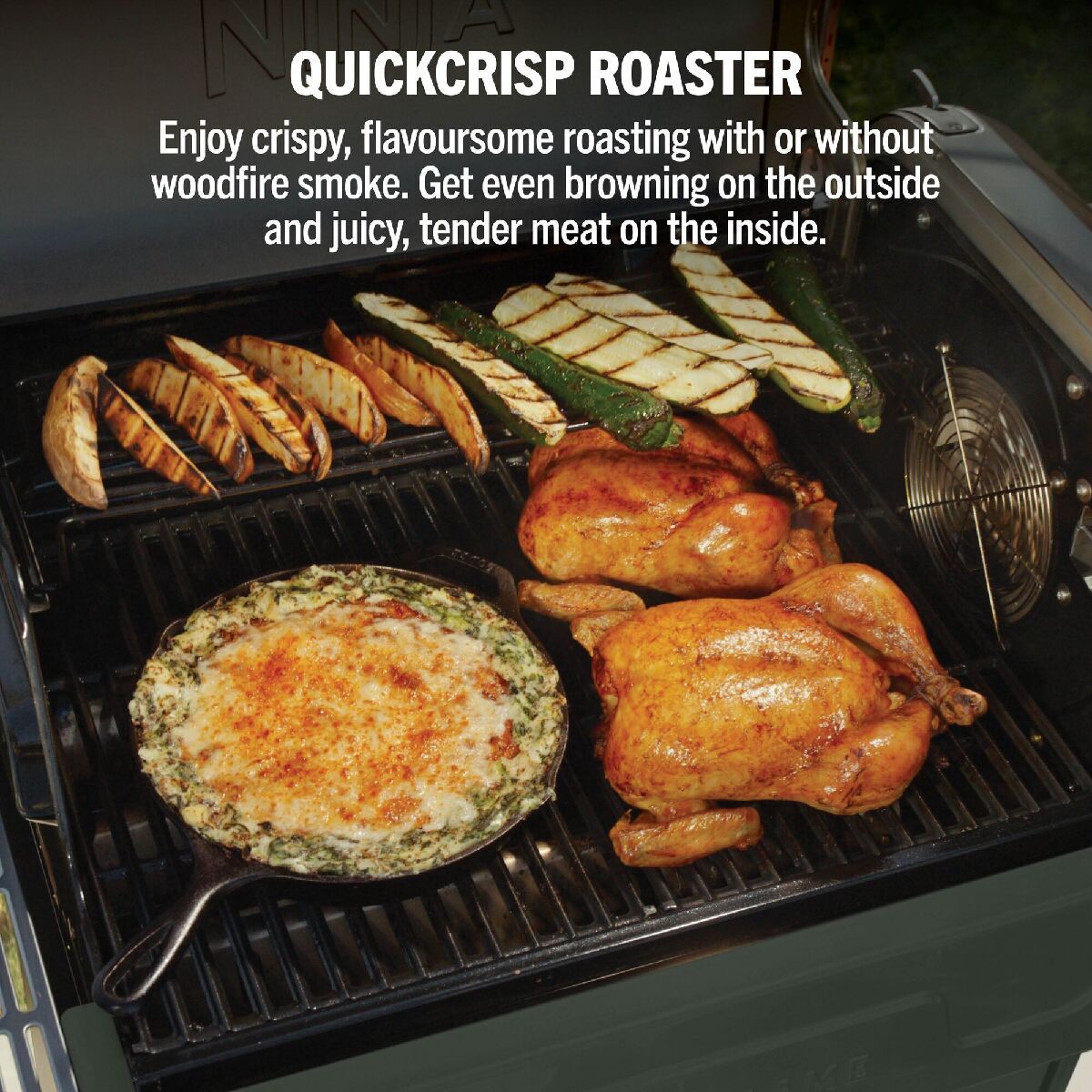 Ninja PG301UKGN FlexFlame Gas BBQ & Outdoor Cooking System Green Green