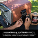 Ninja Woodfire Electric Outdoor Oven Artisan Pizza Maker and BBQ Smoker Terracota OO101UK