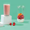 Nutribullet 900 Series Blender NBLP9 - Champagne