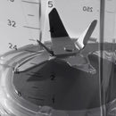 Nutribullet Blender Combo 1200W Power 02147 - Dark Grey