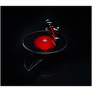 Pro-Ject AC/DC Artist Series Turntable