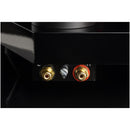 Pro-Ject AC/DC Artist Series Turntable