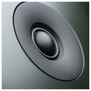 Pro-Ject Speaker Box 5 E Carbon Bookshelf Speakers Satin Golden Yellow Satin Golden Yellow