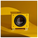 REL T9x SE 300 Watt Subwoofer - Le Mon Yellow Yellow