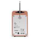 Ruark R1S DAB DAB+ FM Internet Bluetooth WiFi Smart Radio with Remote Bundle - Terracotta