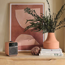 Ruark R1S Premium DAB DAB+ FM Bluetooth USB Digital Smart Radio Terracotta LIMITED EDITION