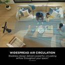 Shark TurboBlade Cool + Heat TH200UK Fan & Heater - Charcoal Black