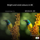 Sony K43S25M2PB 43 Inch BRAVIA 2 II Direct LED 4K Ultra HD HDR Smart Google TV 2026 43 Inch