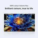 TCL 40V5C-UK 40 Inch V5C QLED Full HD HDR Google Smart TV 2025 40 Inch