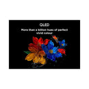 TCL 98P8K-UK 98 Inch P8K 4K Ultra HD HDR QLED Smart Google TV with 144Hz Motion Clarity Pro and Onkyo 2.1 sound 2025 98 Inch