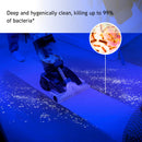 Vax Platinum Power Max Pet Design CDCW-PMXP Carpet Cleaner - Black and Teal