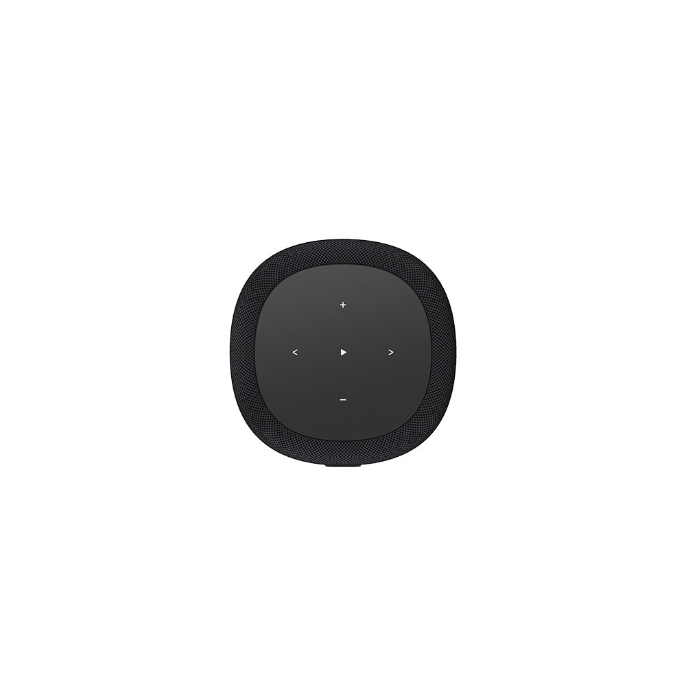 WiiM Sound Lite Wireless Multiroom Smart Speaker - Black Black