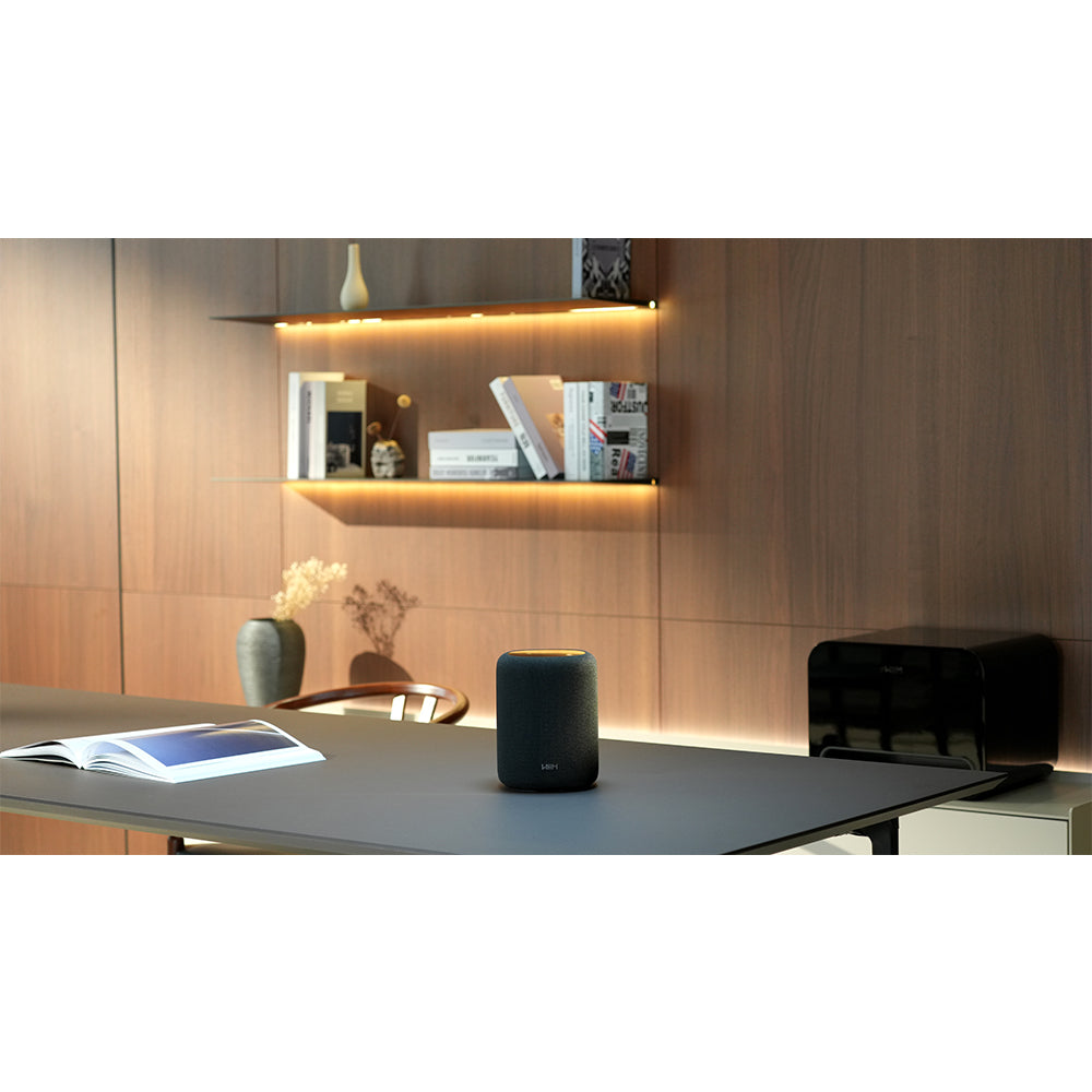 WiiM Sound Lite Wireless Multiroom Smart Speaker - Black Black