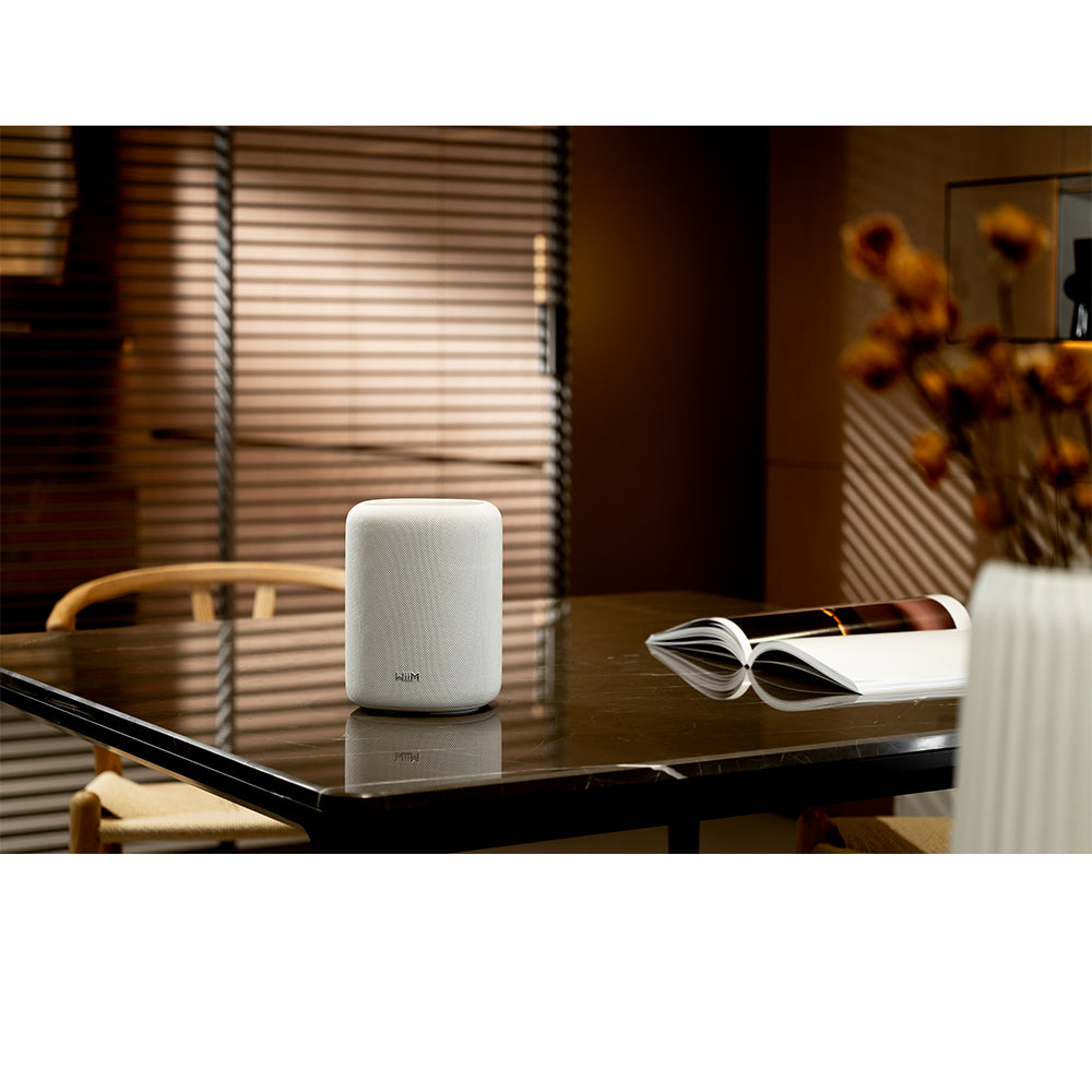 WiiM Sound Lite Wireless Multiroom Smart Speaker - White White
