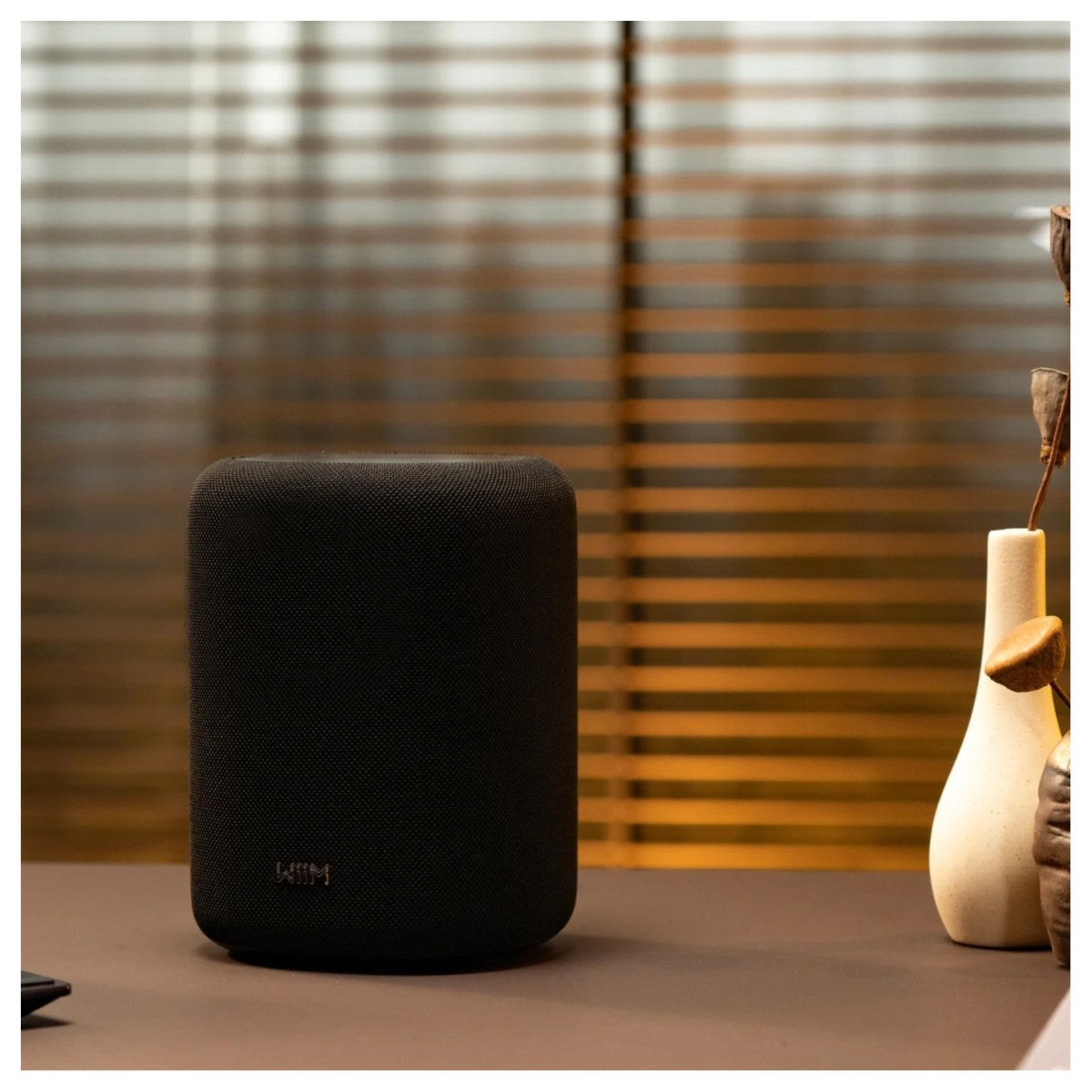 WiiM Sound Lite Wireless Smart Speaker with WiiM NorStone Floor Stand (Single) - Black Black