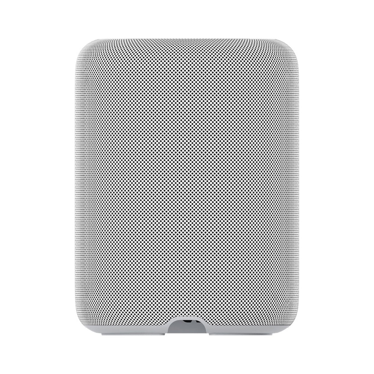 WiiM Sound Lite Wireless Smart Speaker with WiiM NorStone Floor Stand (Single) - White White