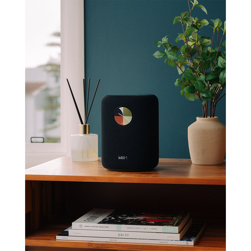 WiiM SOUND Wireless Multiroom Smart Speaker PAIR with Display - Black Black