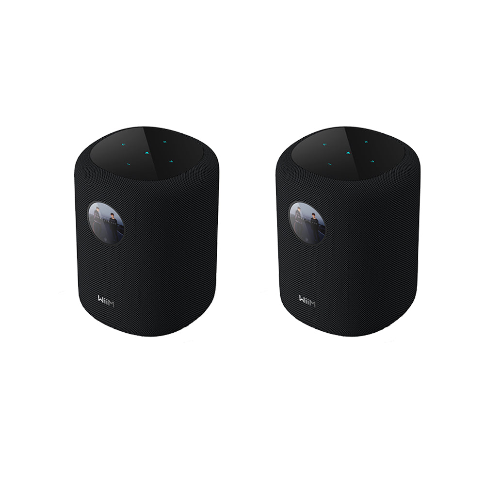 WiiM SOUND Wireless Multiroom Smart Speaker PAIR with Display - Black Black