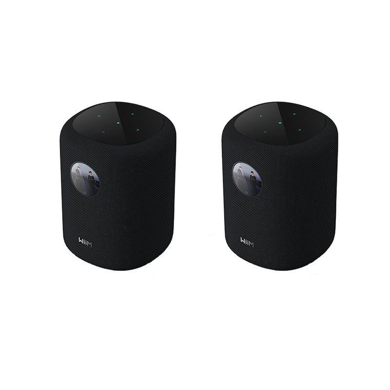 WiiM SOUND Wireless Multiroom Smart Speaker PAIR with Display - Black Black