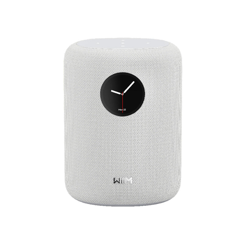 WiiM SOUND Wireless Multiroom Smart Speaker PAIR with Display - White White