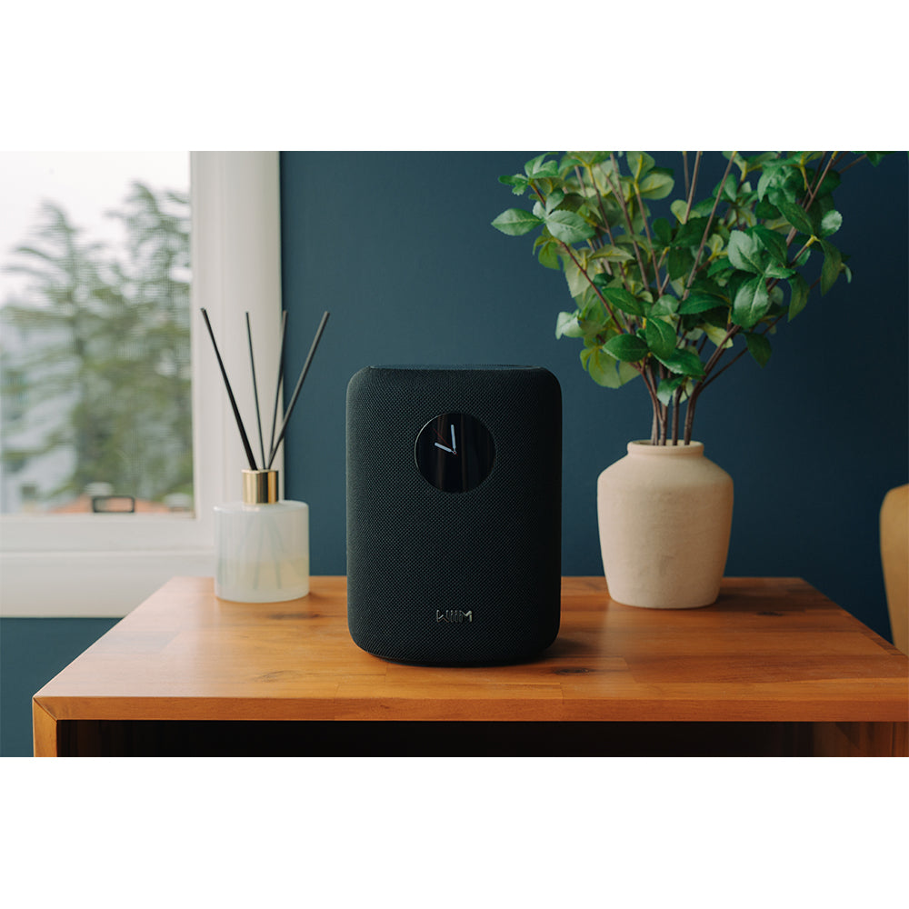 WiiM SOUND Wireless Multiroom Smart Speaker with Display - Black Black
