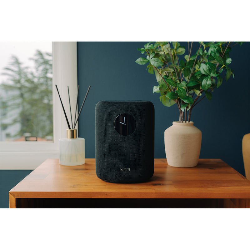 WiiM SOUND Wireless Multiroom Smart Speaker with Display - Black Black